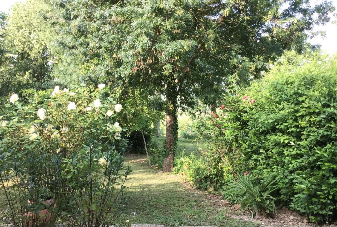 Le Gite De Gascogne Lectoure Extérieur photo